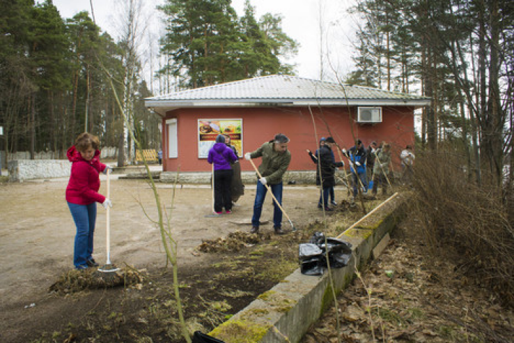 Субботник комитета Ленинградской области по туризму состоялся в поселке Рощино