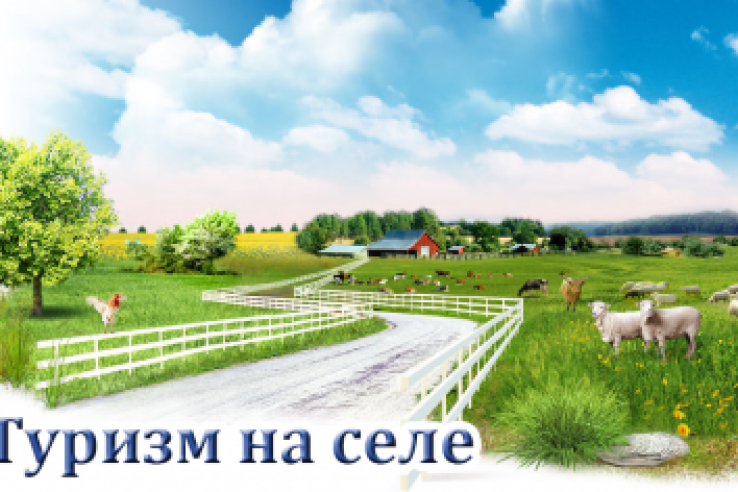 Лучшие практики развития сельского туризма обсудили на Всероссийском семинаре-конференции в г. Сыктывкаре